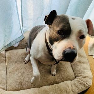 Meet your Posher, Sarai